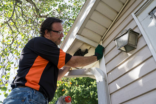 Best Brick Veneer Siding  in Carson City, NV